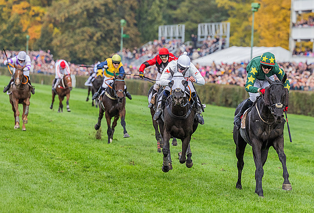 Velká pardubická 2026: Seznam kvalifikovaných koní a výsledky